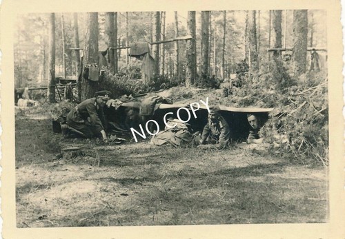 Foto campo notturno - campo,